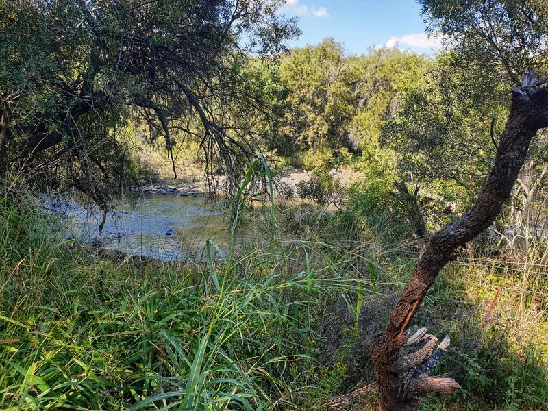 5 Bedroom Property for Sale in Swartruggens North West